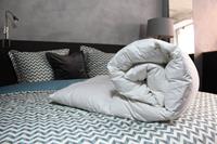 Loiva Silver Donzen dekbed - Winterdekbed 200 x 220 cm - Tweepersoons