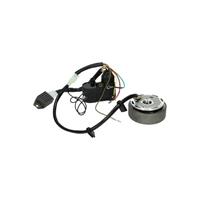 Ontsteking electronische ontsteking model bosch Kokusan Kreidler Zundapp