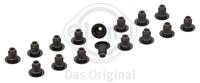 ELRING Dichtungssatz, Ventilschaft 747.210  BMW,OPEL,PEUGEOT,1 F20,3 Touring F31,3 F30, F35, F80,1 F21,GRANDLAND X A18,207 WA_, WC_,207 CC WD_