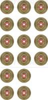 REINZ Dichtungssatz, Ventilschaft 12-36497-01  SAAB,9-5 Kombi YS3E,9-3 YS3D,9-5 YS3E,9-3 Cabriolet YS3D