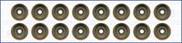 AJUSA Dichtungssatz, Ventilschaft 57037800  HYUNDAI,KIA,i30 FD,TUCSON JM,i30 CW FD,SANTA FÉ I SM,SANTA FÉ II CM,TRAJET FO,SONATA V NF,ELANTRA XD