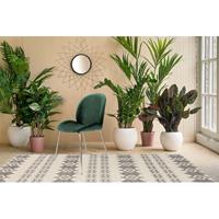 Home24 Gestoffeerde stoel Charlize II (2 stuk), 