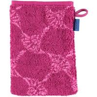JOOP Handtücher Cornflower 1611 Cassis - 22 - Waschhandschuh 16x22 cm