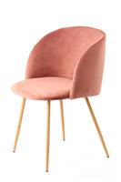 Set van 2 eetkamerstoelen Celine velvet | Hearthome & Living
