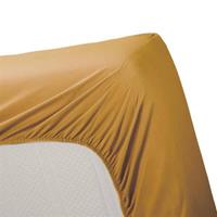 Ambiante Hoeslaken Katoen Ochre-1-persoons (80x200 cm)