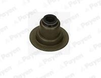 Payen Klepseal PA5033
