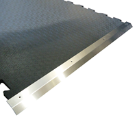 ivol RVS Aanloop profiel voor Puzzel Stalmat - 118 cm