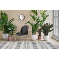 Home24 Gestoffeerde stoel Charlize II (2 stuk), Kayoom