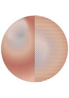 Moooi Carpets Trichroic Dalston Round - 250 rond Rond Vloerkleed