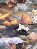 Moooi Carpets Walking on Clouds Dawn - 200x300 cm