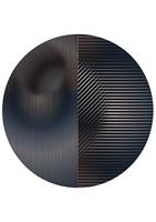 Moooi Carpets Trichroic Hoxton Round - 250 rond Rond Vloerkleed