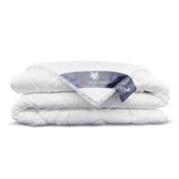 Heckett & Lane Heckett & Lane Platinum Donzen Dekbed - 1-persoons (140x220 Cm) - Enkel
