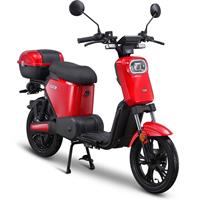 IVA e-go s2 rood