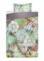 Vandyck Dekbedovertrek Succulent Plants
