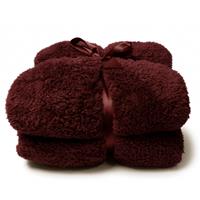 Plaid Teddy Rood