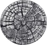 Gino Falcone Vloerkleed Aurora GF-095 Hout look, ideaal in de woonkamer & slaapkamer