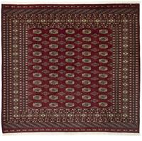 Morgenland Wollteppich Buchara Teppich handgeknüpft rot, rechteckig, 7 mm Höhe