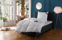 Excellent Donzen dekbed Zürich bestseller deken Dekbed 135 x 200 cm, 155 x 200 cm en andere maten, Made in Germany Licht