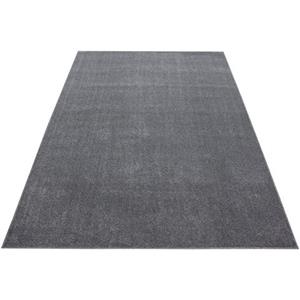 Vloerkleed Ata Licht Grijs - Ata - 280x370 cm - Rechthoek Laagpolig - 