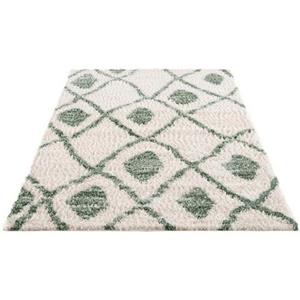 Carpet City Hoogpolig vloerkleed Pulpy 563