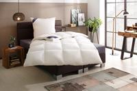 Älgdröm Donzen dekbed + 3-kamer-hoofdkussen Tyven, in den Größe 135x200 und 155x220 erhältlich! (voordeelset)