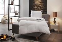 SPESSARTTRAUM Donzen dekbed Exclusief dekbed 135x200 en andere afmetingen Polarwarm