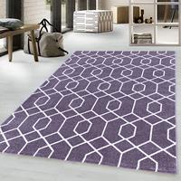 Ayyildiz Teppiche Vloerkleed EFOR 3713