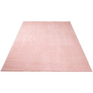 Carpet City Hochflor-Teppich Softshine 2236, rechteckig, 30 mm Höhe, Besonders weich durch Microfaser, Wohnzimmer