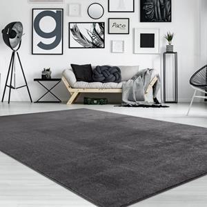 PACO HOME Teppich, Kurzflor-Teppich Für Wohnzimmer, Super Soft, Weich, Waschbar, In Dunkel Grau