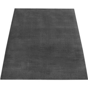 pacohome Paco Home - Teppich, Kurzflor-Teppich Für Wohnzimmer, Super Soft, Weich, Waschbar, In Dunkel Grau 160x220 cm