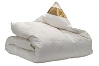 Ten Cate 4-Seizoenen 90% Ganzendonzen Dekbed 140x200