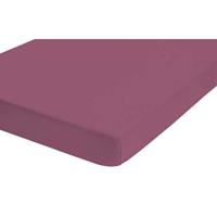 Castell Jersey-Stretch Spannbettlaken 90x200 cm - 100x200 cm Brombeer