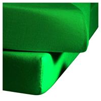 fleuresse Single Jersey Spannbettlaken Jenny C 100x220 cm Grassgrün