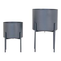 Hioshop Pavia bloeiwijzen set met 2 stuks grijs.