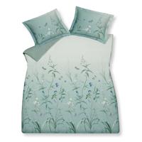 Vandyck DBO Bright Sky 240x200/220 Pearl Blue
