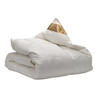 Ten Cate 4-Seizoenen 90% Ganzendonzen Dekbed 200x220