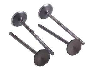 Naraku Kleppenset  Cilinderkop  22/25 voor Yamaha X-Max, YZF, WR 125 4V