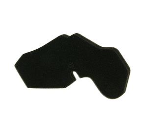 Vparts Luchtfilter element voor Honda Wallaroo