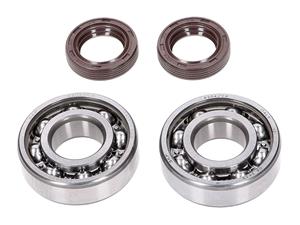 Naraku Krukaslager Set  SKF / FKM Premium C4 Metalen kooi voor Peugeot horizontaal