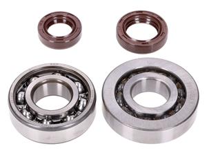 Naraku Krukaslager Set  SKF, FKM Premium C3, C4 Metalen kooi voor Peugeot verticaal Euro2