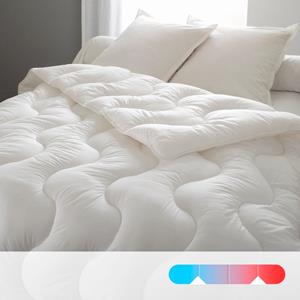 LA REDOUTE INTERIEURS - BEST Synthetisch dekbed 4 seizoenen, anti-mijt