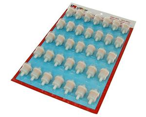 101 Octane Benzinefilter 8mm High Quality Display 35 Stuks