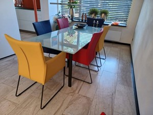 ShopX Leren eetkamerstoel mate met armleuning, blauwgeelrood leer, blauwegelerode keukenstoelen