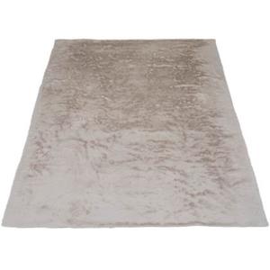 Veer Carpets Vloerkleed Gentle Beige 70 - 140 x 200 cm