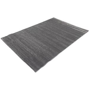 FlyCarpets Cosmo Effen Grijs Vloerkleed 200 X 290 CM
