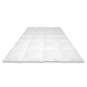 Cassenz VAN GOGH dekbed 90% ganzendons 260/220cm - 1350g 8x6 2 cm steg