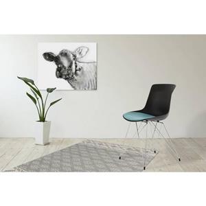Kayoom Kuipstoel Emily met contrastkleurig zitkussen (set, 2 stuks)