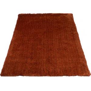 Veer Carpets  Karpet Lago Terra 63 - 130 x 190 cm