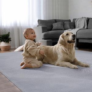 Merinos Superzacht Laagpolig Vloerkleed met bontlook Grijs-70x140 cm