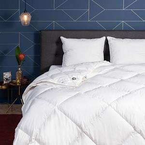 Presence 4 seizoenen Dekbed Ganzendons White - 200x200 cm (Tweepersoons) -  - 600 gr (390 gr + 210 gr) - 